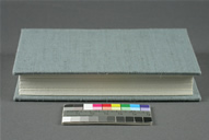Traditional Case